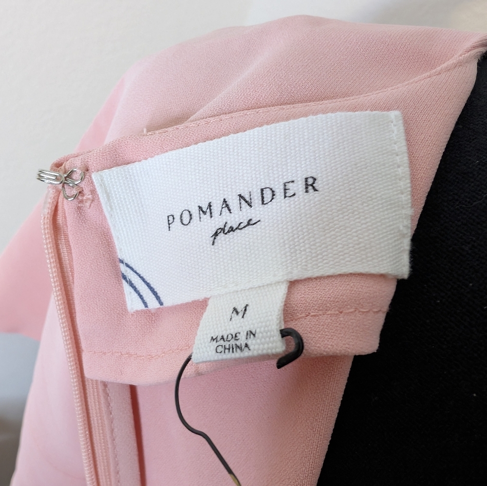 💘 Pink Velvet Pomander Place Dress (Tuckernuck) - Picture 4 of 6